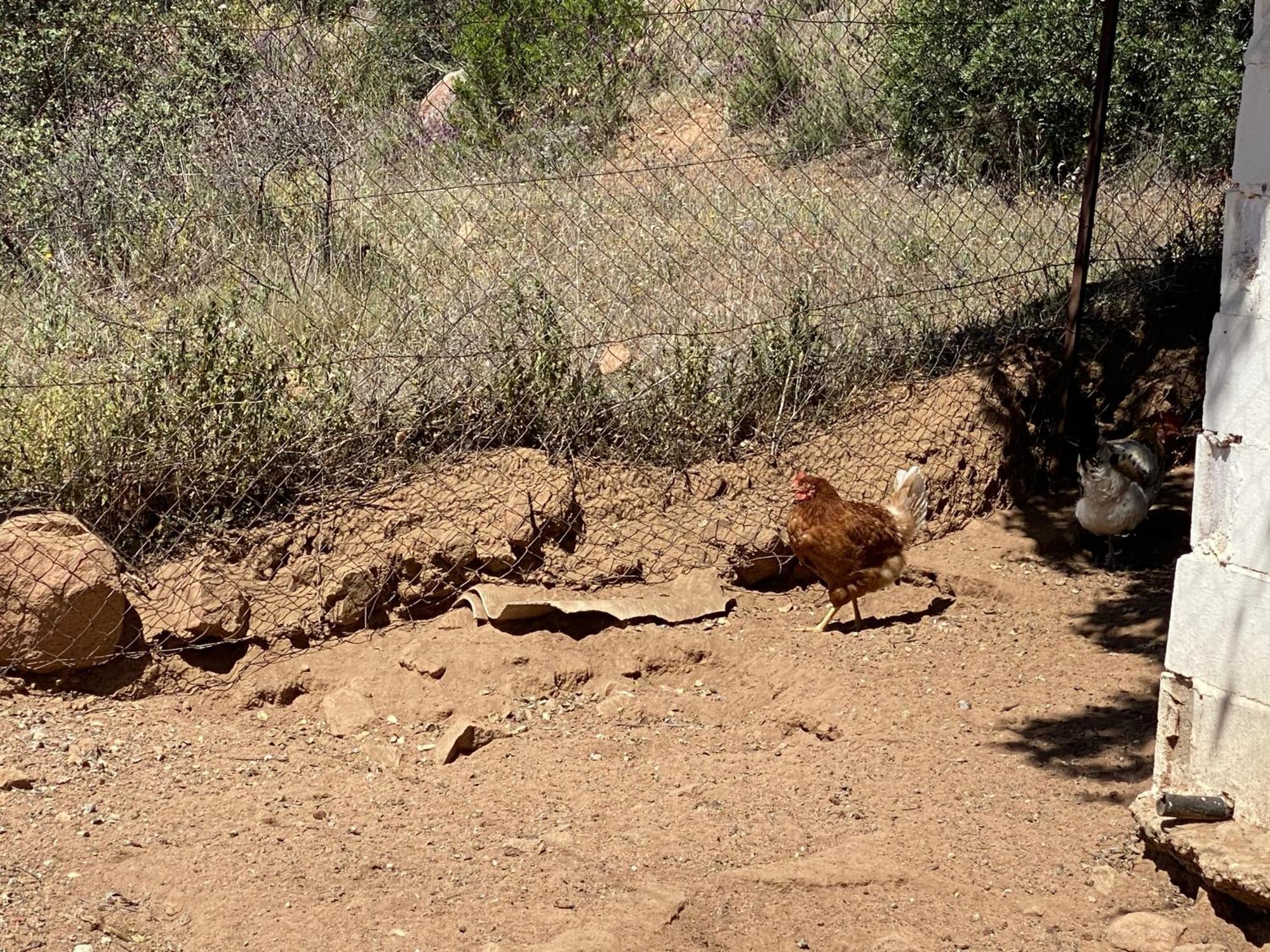 Las Chorreras Del Orejon 2 Villaviciosa de Córdoba Eksteriør bilde