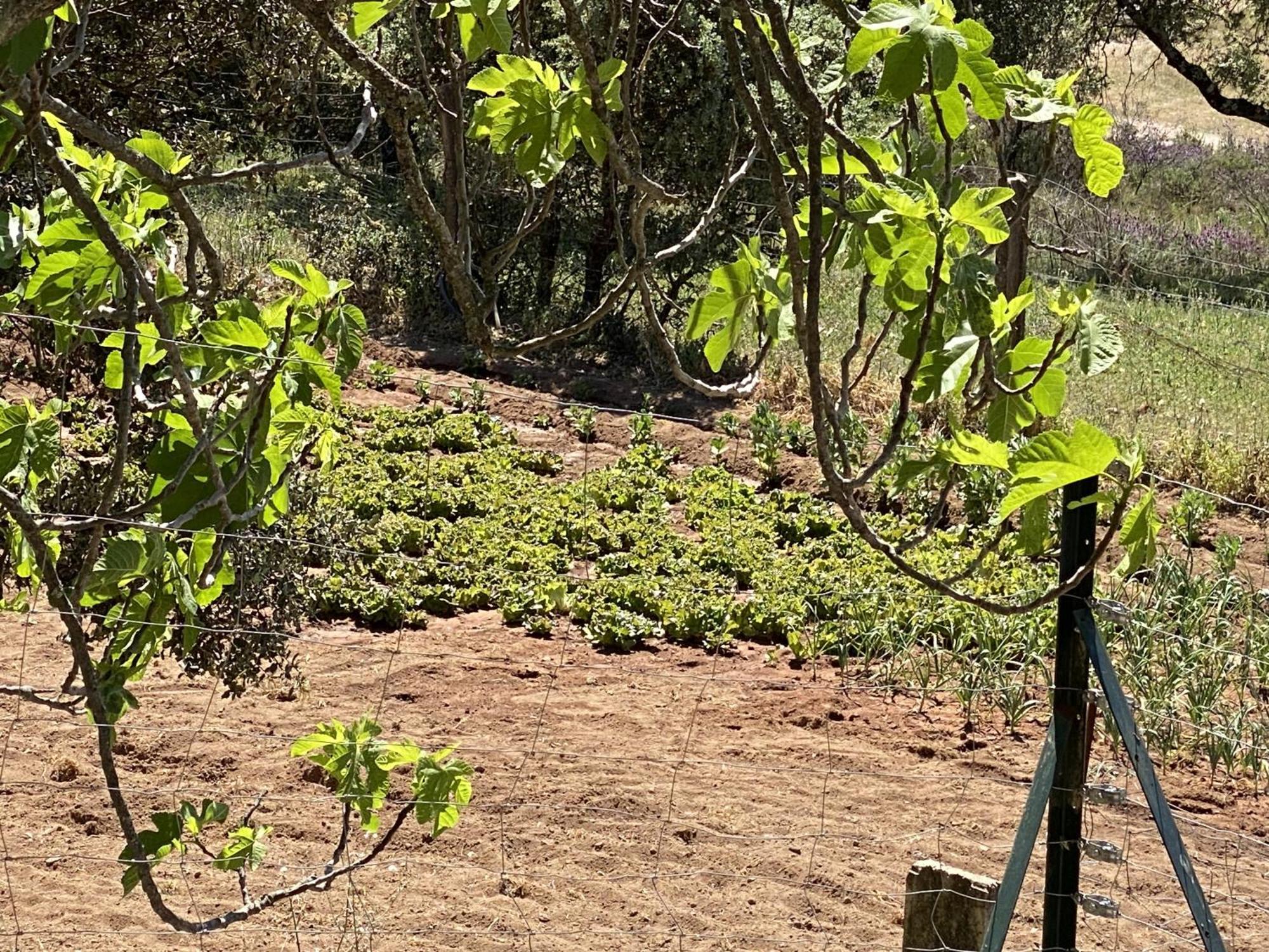 Las Chorreras Del Orejon 2 Villaviciosa de Córdoba Eksteriør bilde
